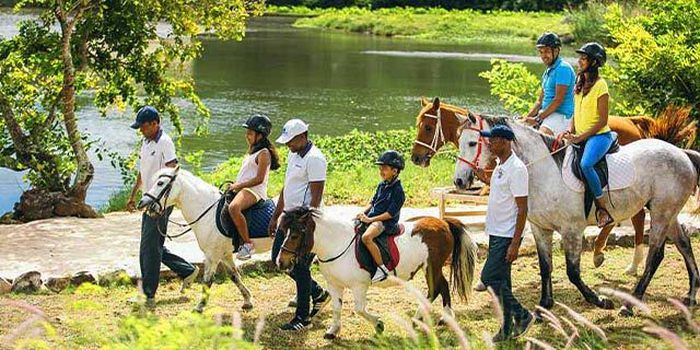 Horse riding balaclava equestrian centre (4)